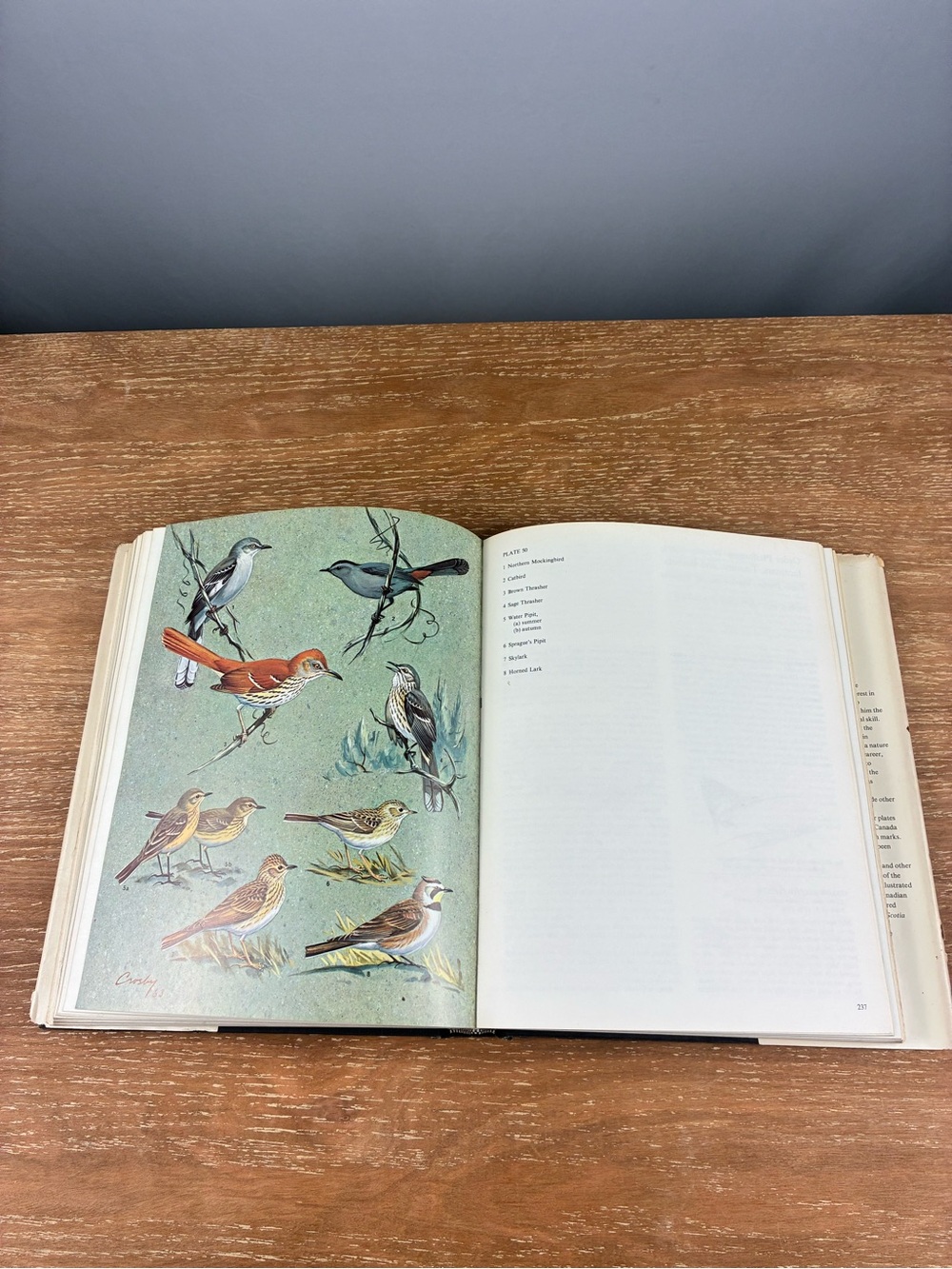 The Birds of Canada by W. Earl Godfrey – Vintage 1966 Hardcover - Picture 12 of 13